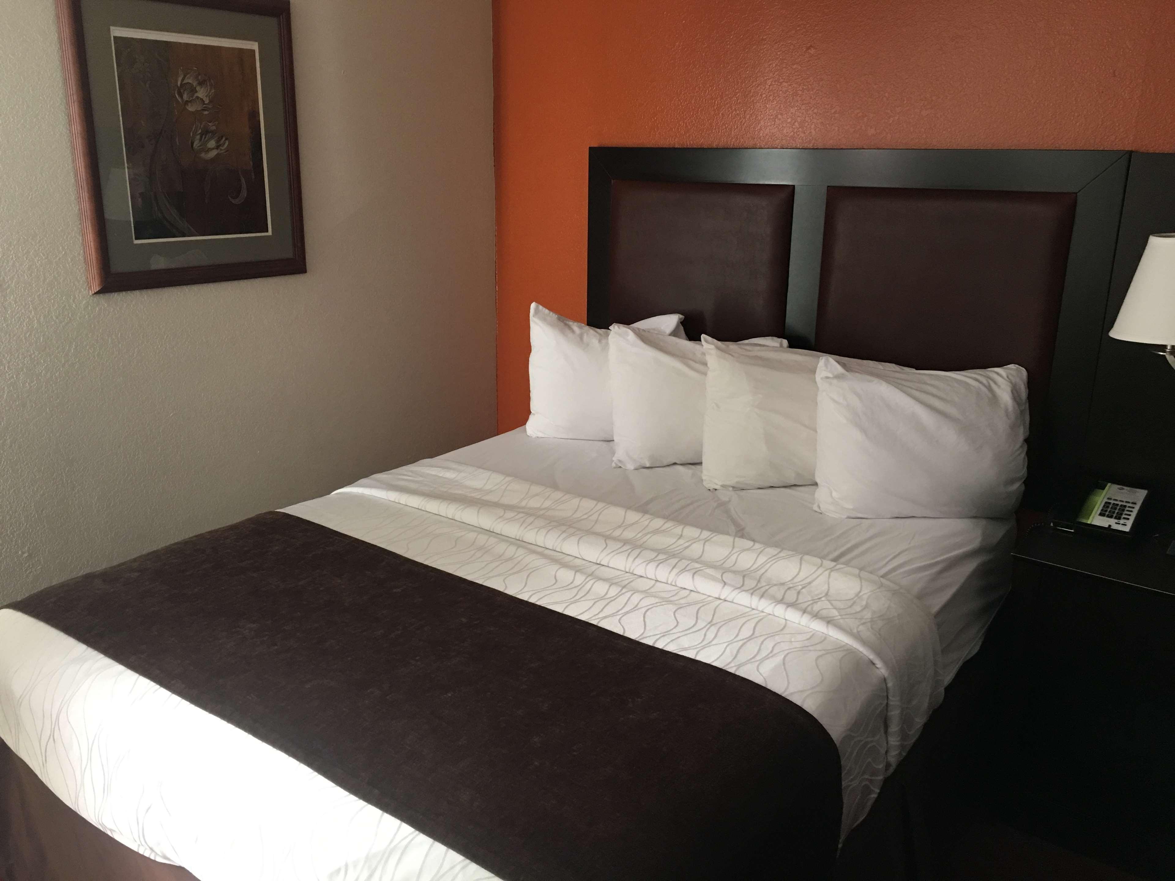 Best Western Plus Lubbock Windsor Inn Extérieur photo